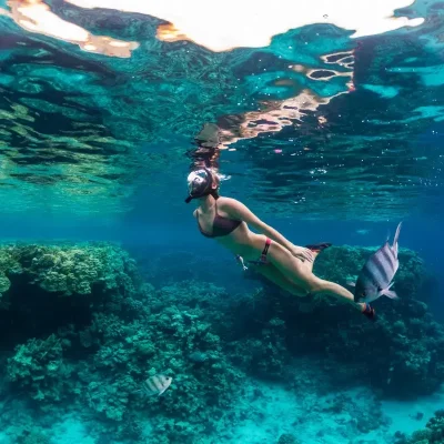 Red Sea