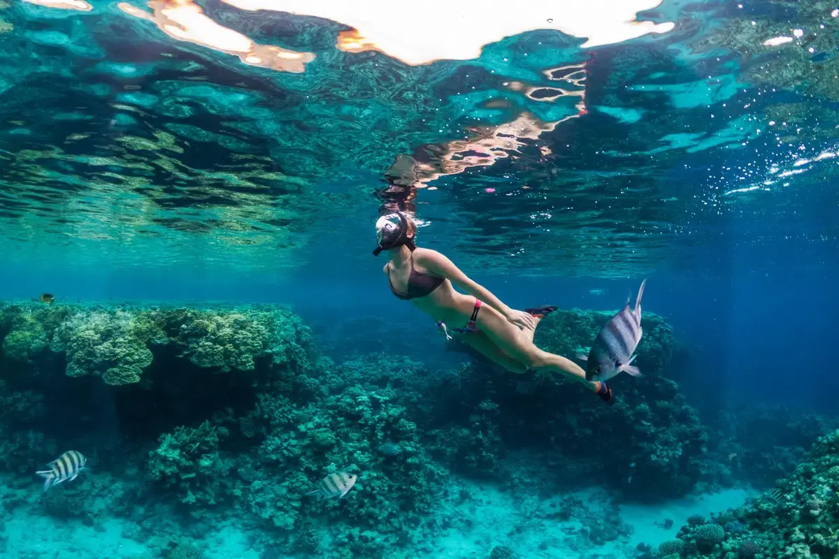 Diving Tour at Ras Mohammed National Park