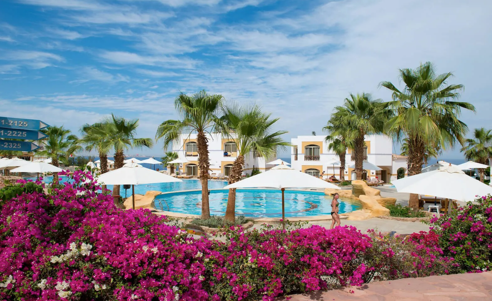 Standard Garden View Amphoras Hotels Blu hotel. ( Adults only 16 + ) Egyptians rate