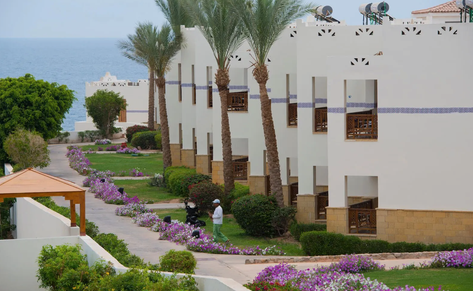 Standard Garden View Amphoras Hotels Blu hotel. ( Adults only 16 + ) Egyptians rate