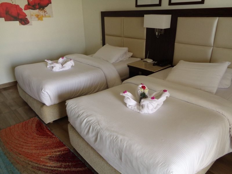 Double Standrad pool view pick Albatros white beach resort Egyptian rates