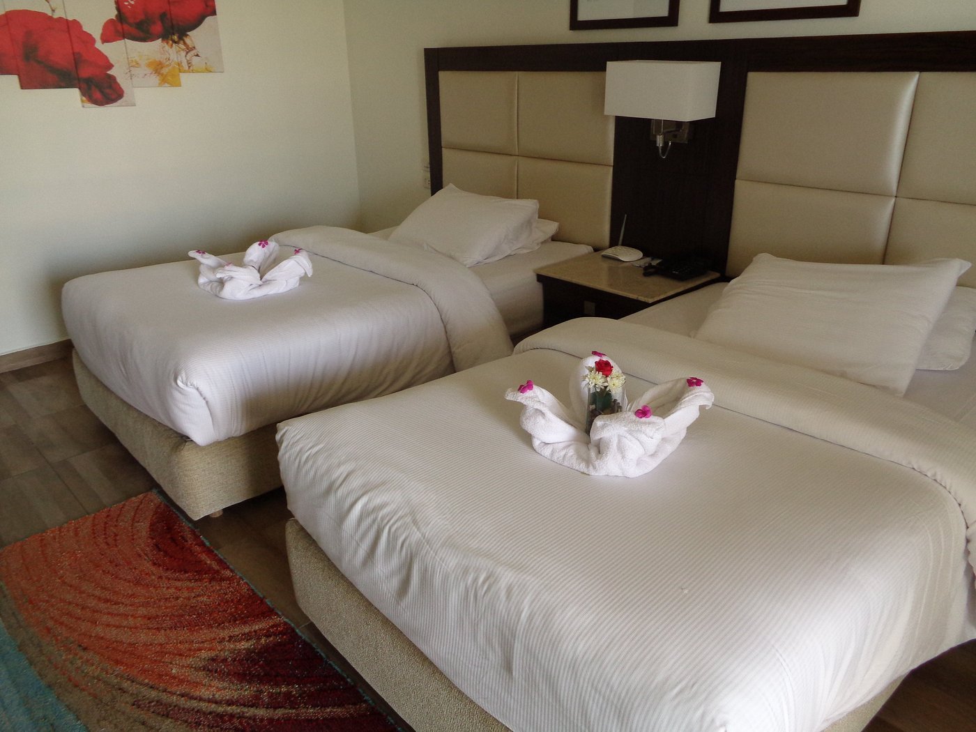 Double Standrad pool view pick Albatros white beach resort Egyptian rates